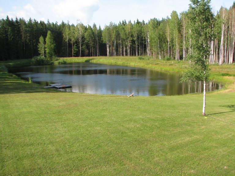 Viesu nams Naktsvijoles