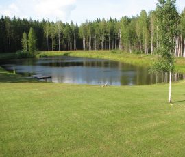 Viesu nams Naktsvijoles